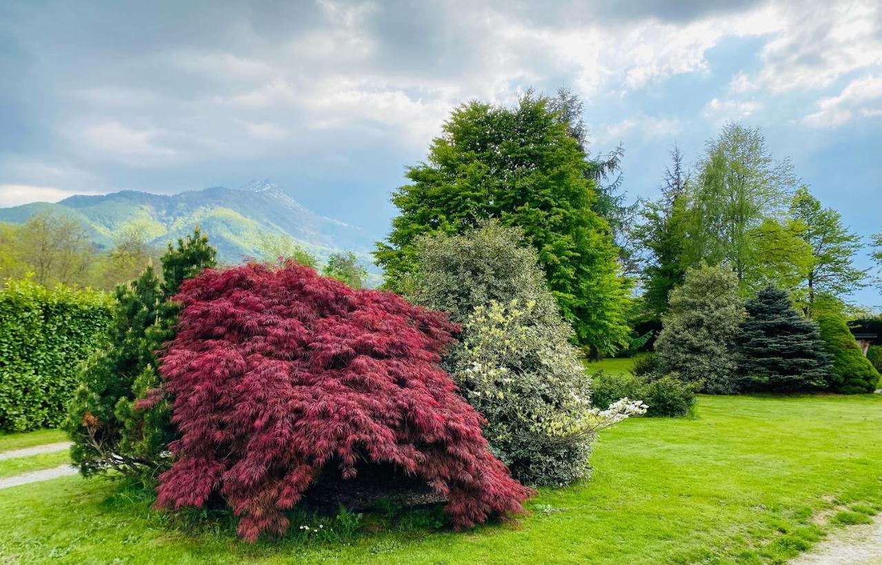 Villa Giulia - Marguareis Peveragno Bagian luar foto