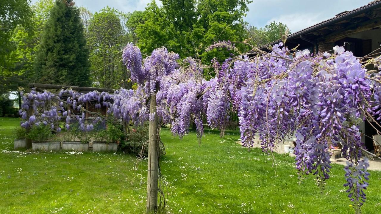 Villa Giulia - Marguareis Peveragno Bagian luar foto