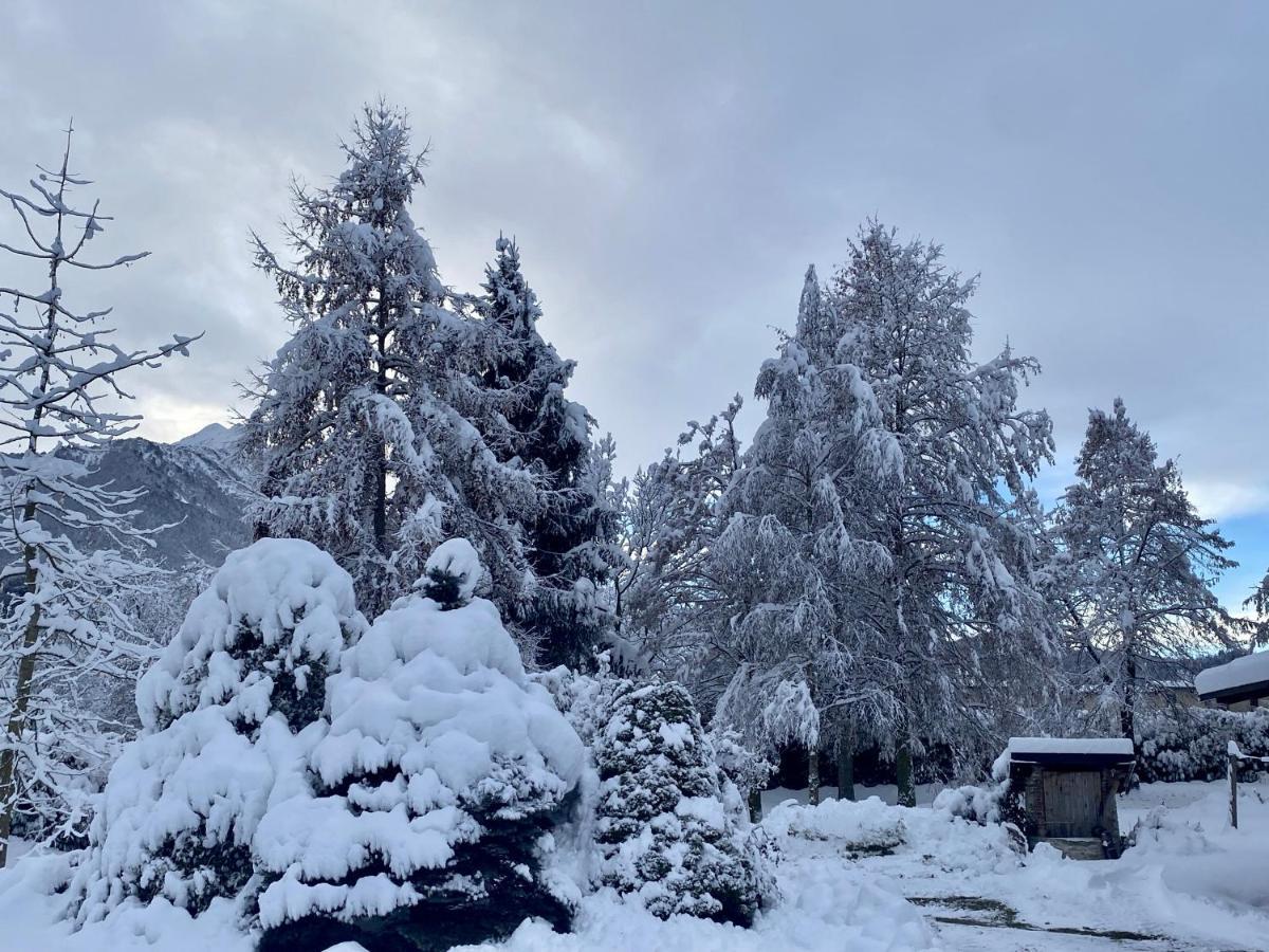 Villa Giulia - Marguareis Peveragno Bagian luar foto