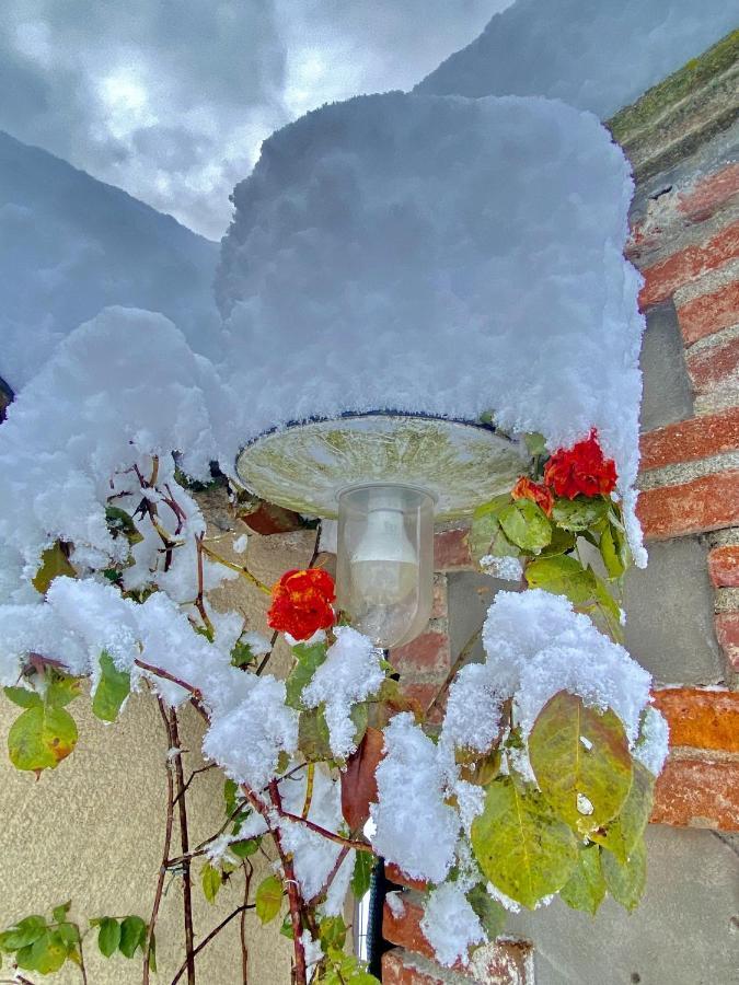 Villa Giulia - Marguareis Peveragno Bagian luar foto